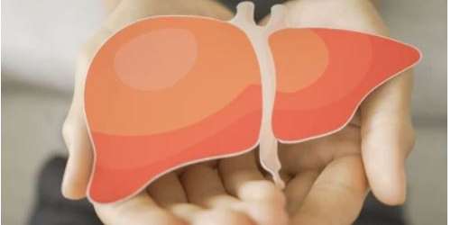 Fibroscan Nedir? Fibroscan Hangi Hastalıklarda Kullanılır?